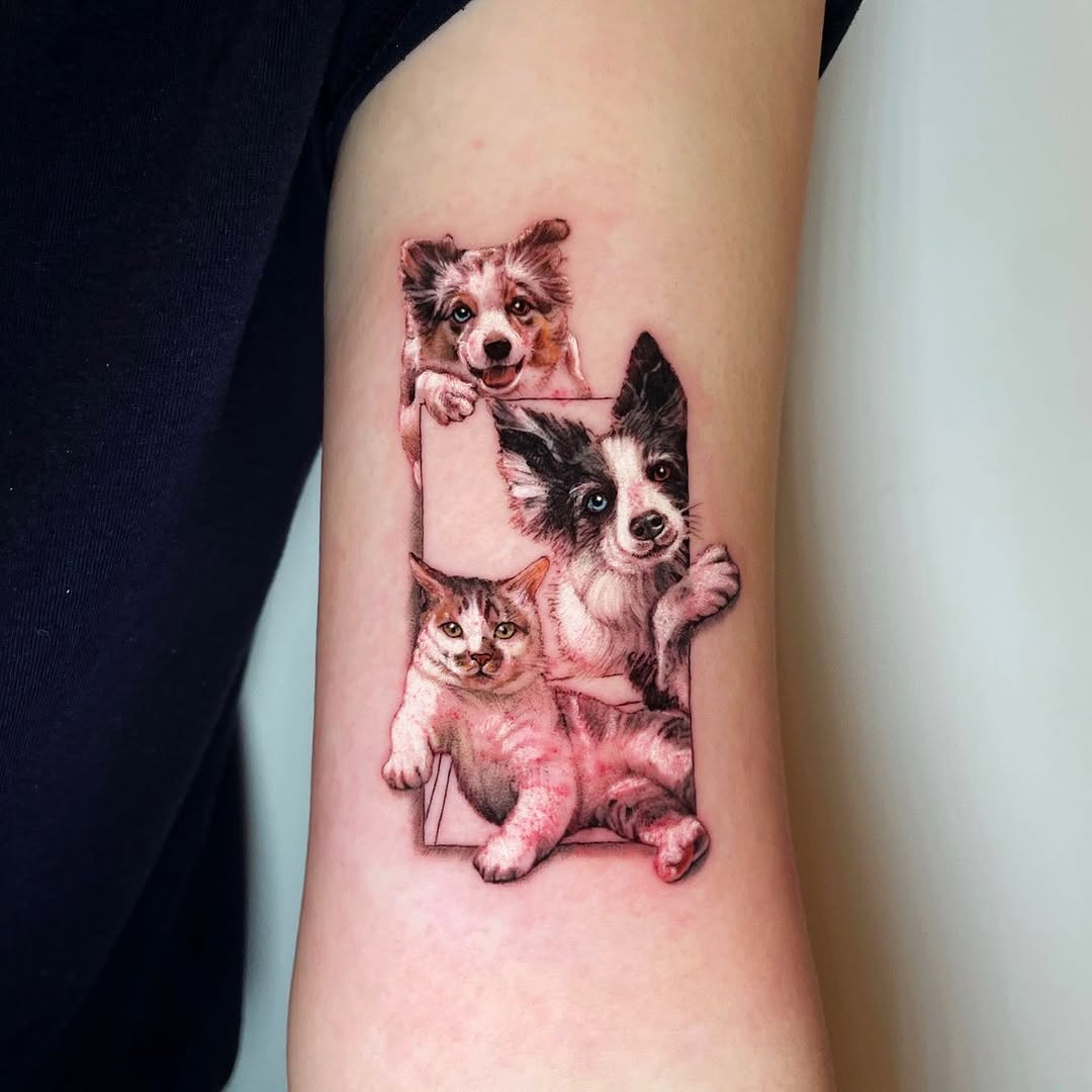 Animal