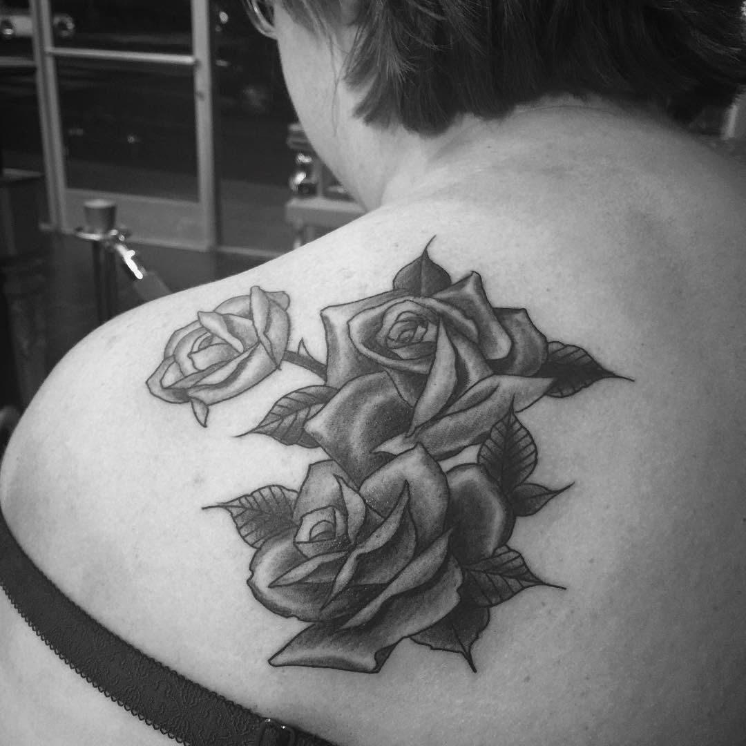 Flower, Rose, Nature