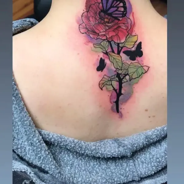 Flower, Rose, Nature