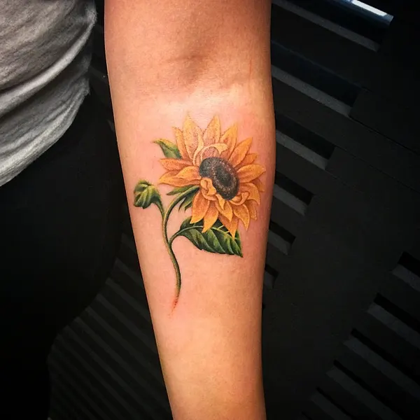 Flower, 해바라기