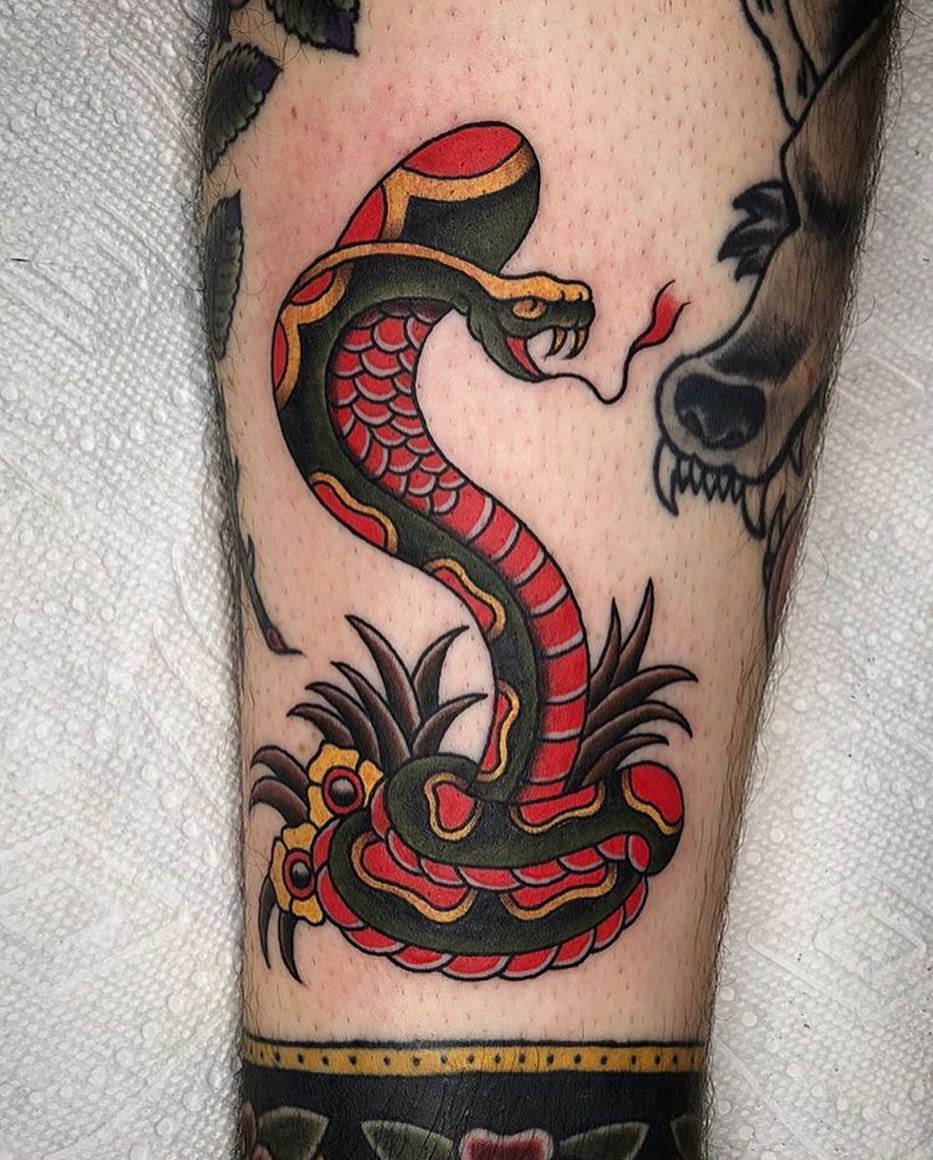 Dragon