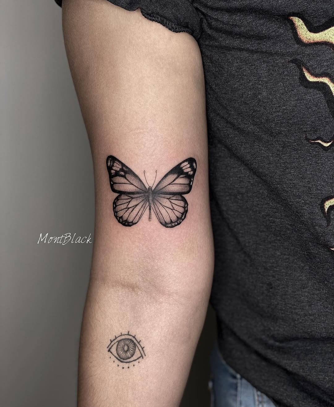 Animal, Nature, 나방