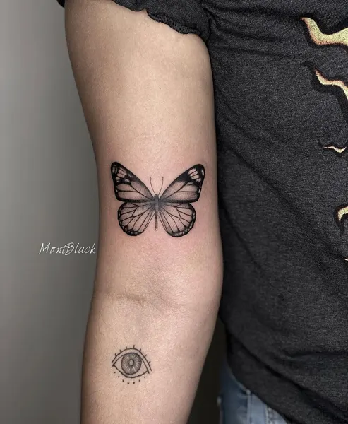 Animal, Nature, 나방