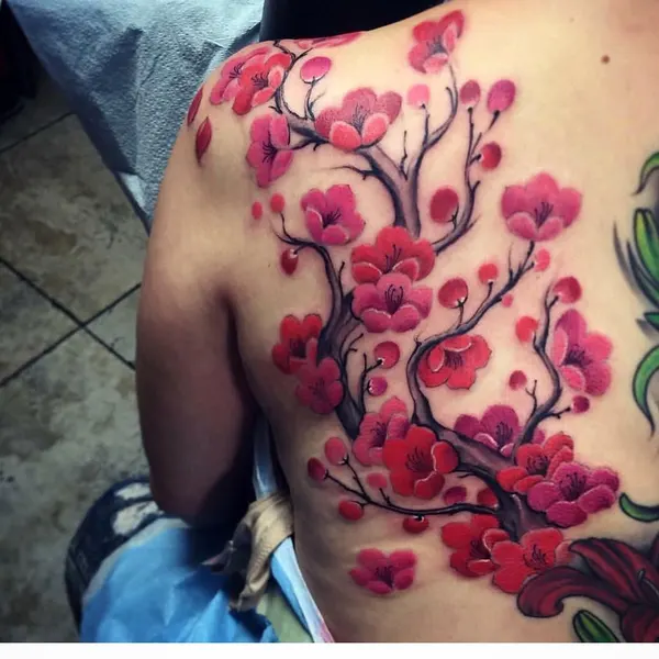 벚꽃, Flower, Nature, 매화, 양귀비, 일본 단풍