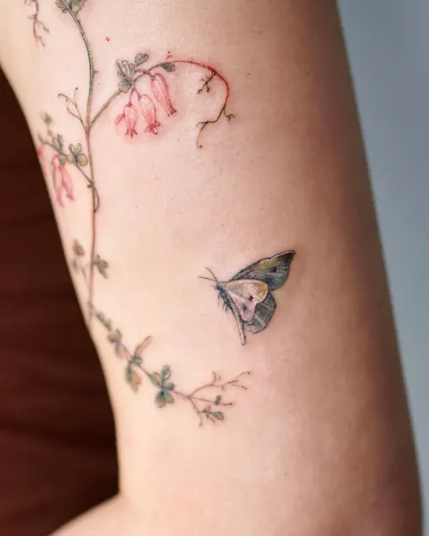 Flower, Rose