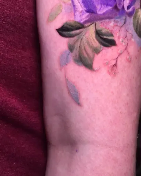 Flower, Rose, 포도
