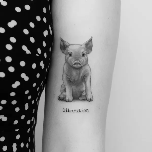 Animal, 돼지