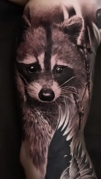 Animal, 너구리