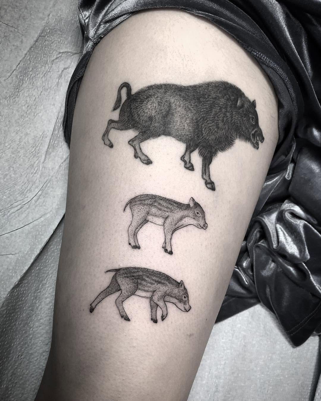 양, Dragon, 염소, 소, 돼지, 황소, 멧돼지, Animal