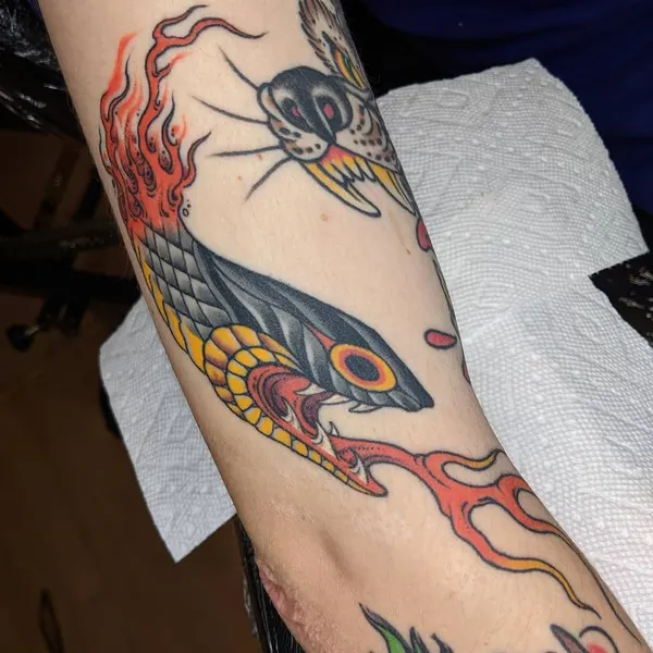 Dragon