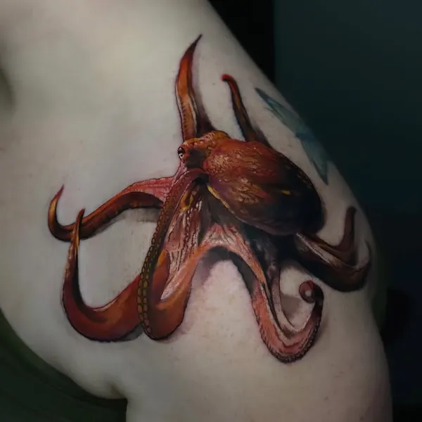 게, Animal, 문어, 오징어, 크라켄, 케르베로스, 랍스터