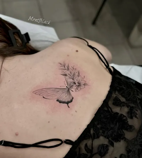 Animal, Nature, 백조, 비둘기, 천사 날개