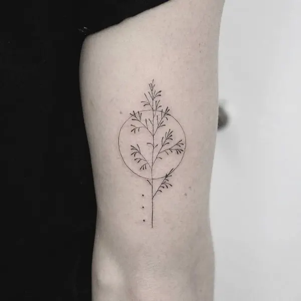 책, 캐리어