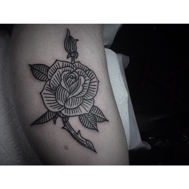 Flower, Rose