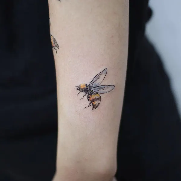 Animal, 벌, 개미, 매미, 전갈, 지네, 잠자리, 무당벌레, 딱정벌레