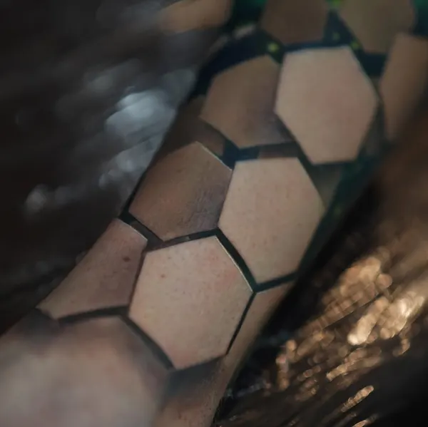 Geometric, 거북이