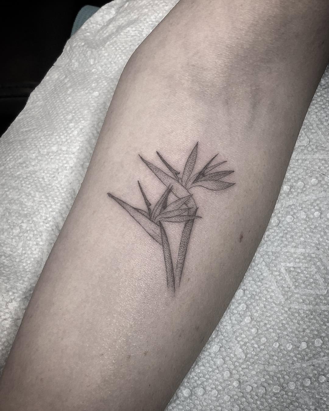 Flower, 풀, 뿌리, 단풍잎, 민들레, 야생화