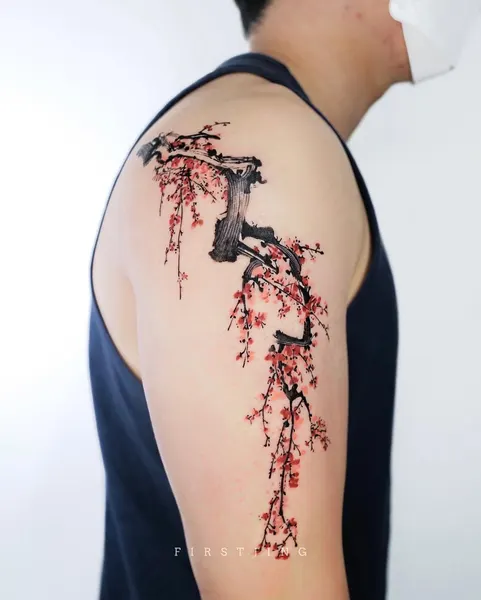 Nature, 대나무, 일본 단풍, 벚꽃
