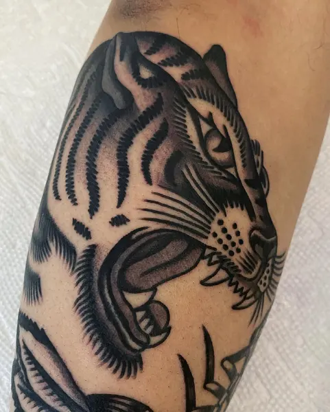 Tiger, 일본 호랑이, 중국 호랑이