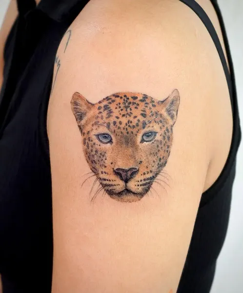 Animal, 표범, 재규어, 치타