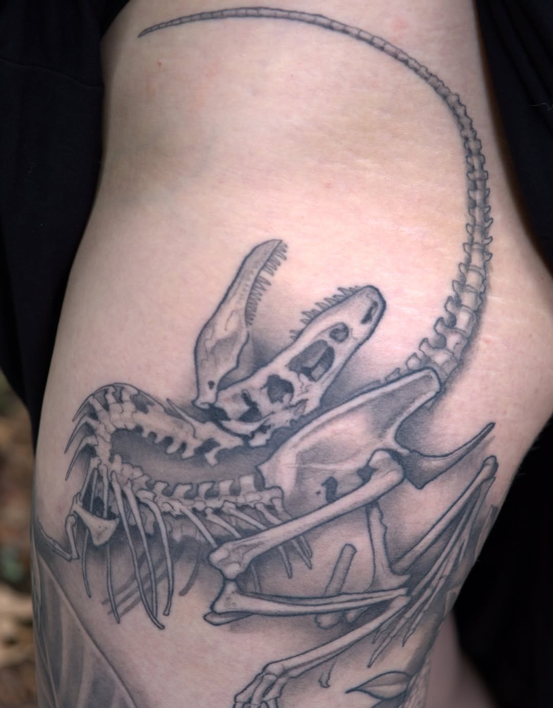 shawn_hebrank