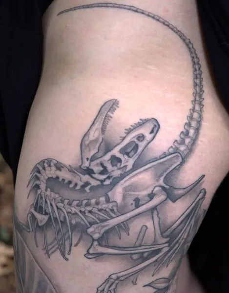 shawn_hebrank