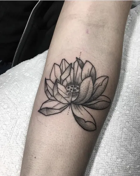 Flower, 연꽃, 한국 연꽃