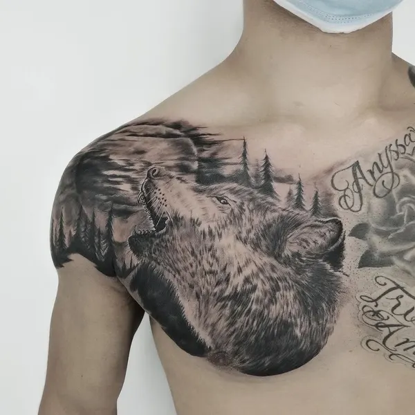 곰, Animal