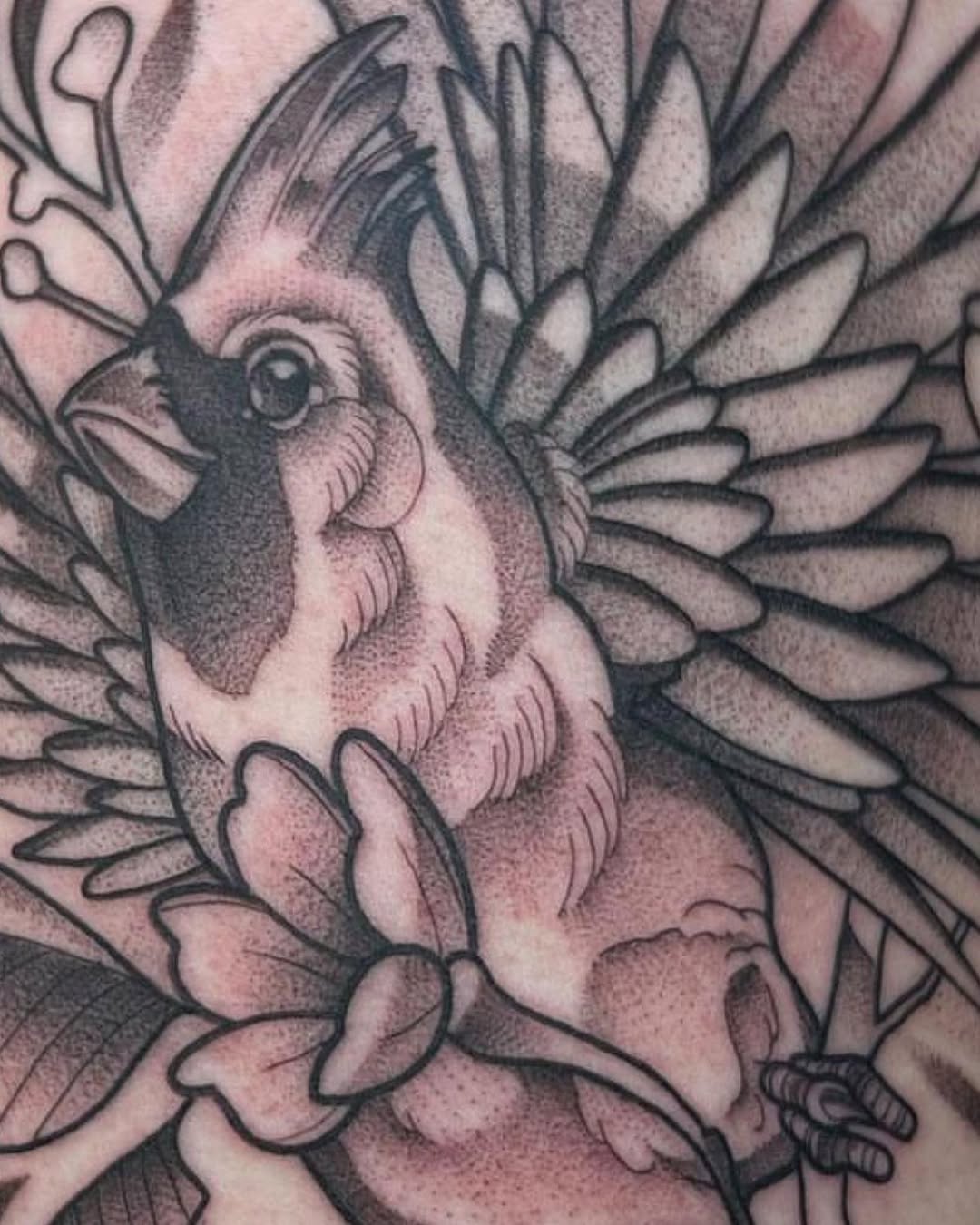Flower, Animal, Nature