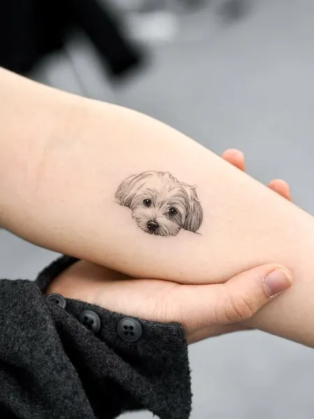 반려동물, 반려동물 추모