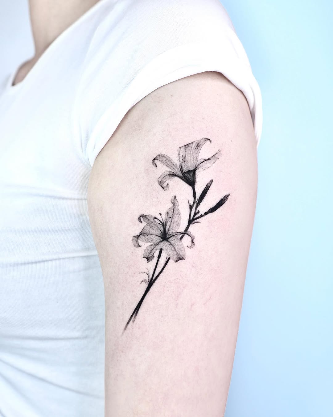 Flower, 아이리스
