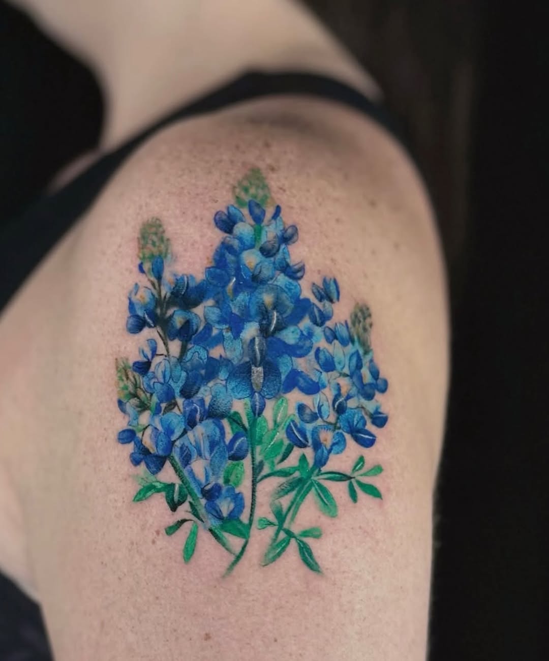 Flower, 수국, 허브, 야생화