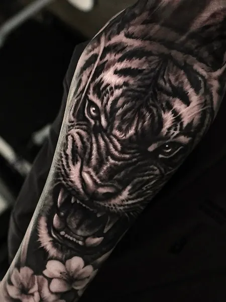 Tiger, 한국 호랑이, 사자자리, 일본 호랑이