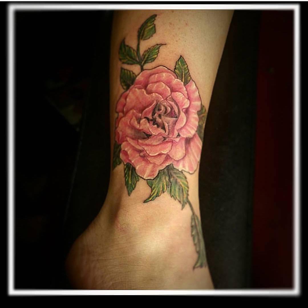 Flower, Rose