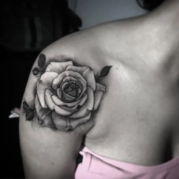Flower, Rose, Nature