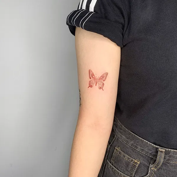 Animal