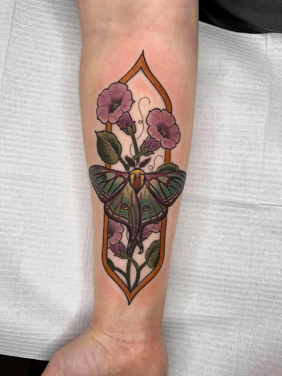 Flower, Rose, Animal, Nature