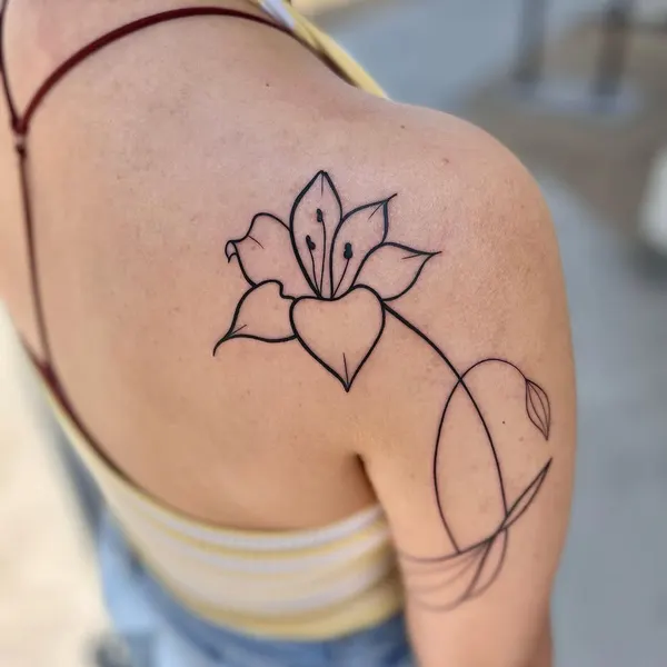 Flower, 연꽃, 한국 연꽃