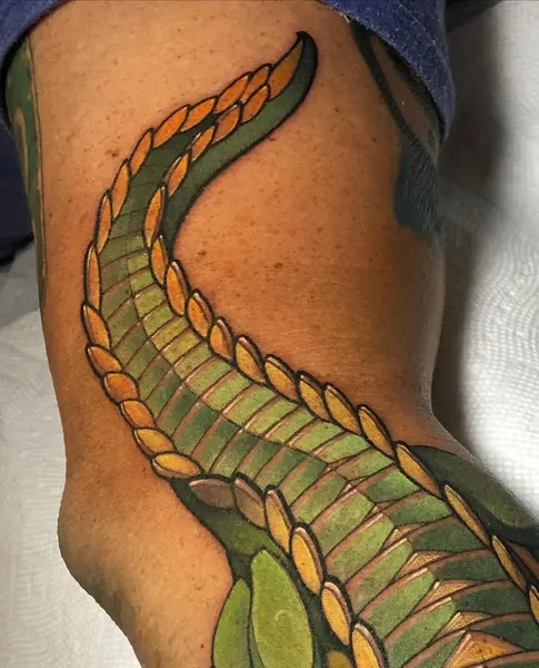 Dragon, 악어