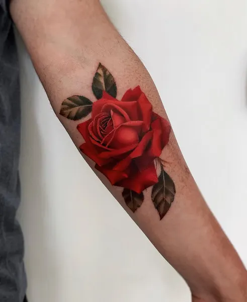 Flower, Rose