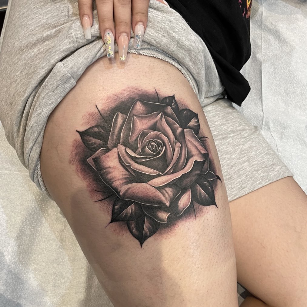 Flower, Rose