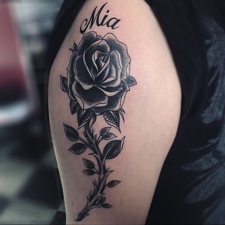 Flower, Rose, Nature