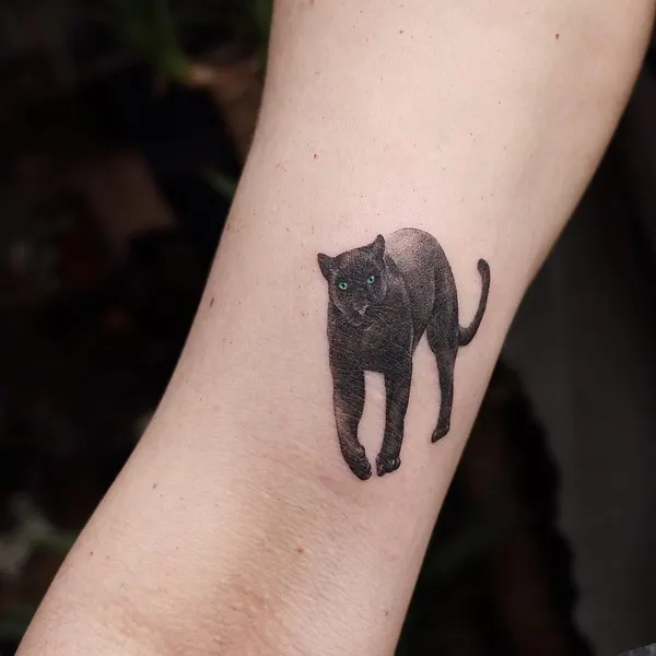 Animal, 코끼리