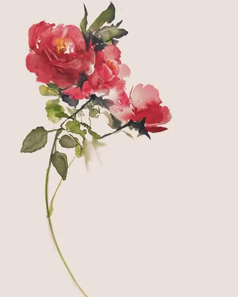 Flower, Rose