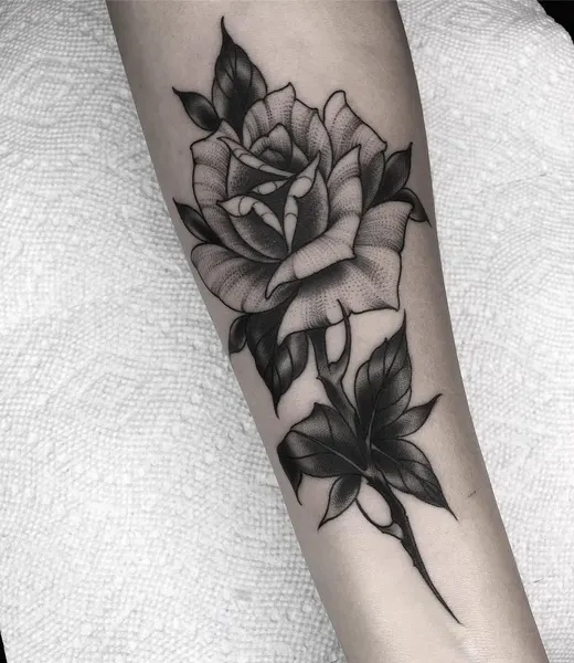 Flower, Rose, 목련