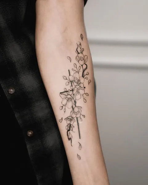 Flower, 뿌리, 덩굴, 야생화, 나뭇가지, 카네이션, Nature, 허브, 대나무, 오리엔탈, 올리브 가지