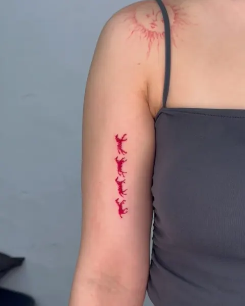 가시철사