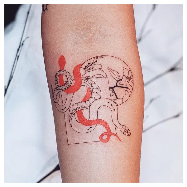 Dragon, 띠, 양자리