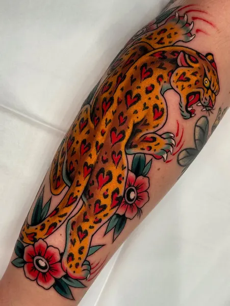Tiger, Animal, 표범