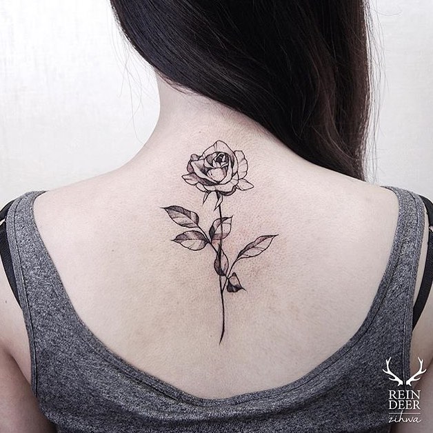 Flower, Rose